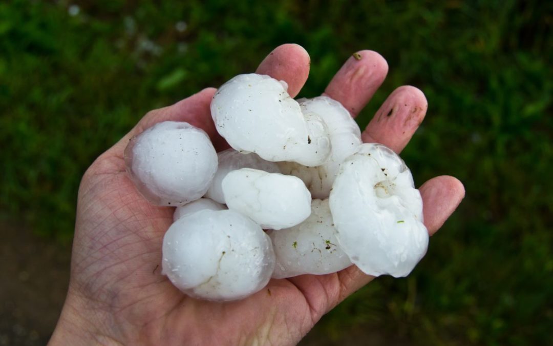 Largest Hail in Houston’s History